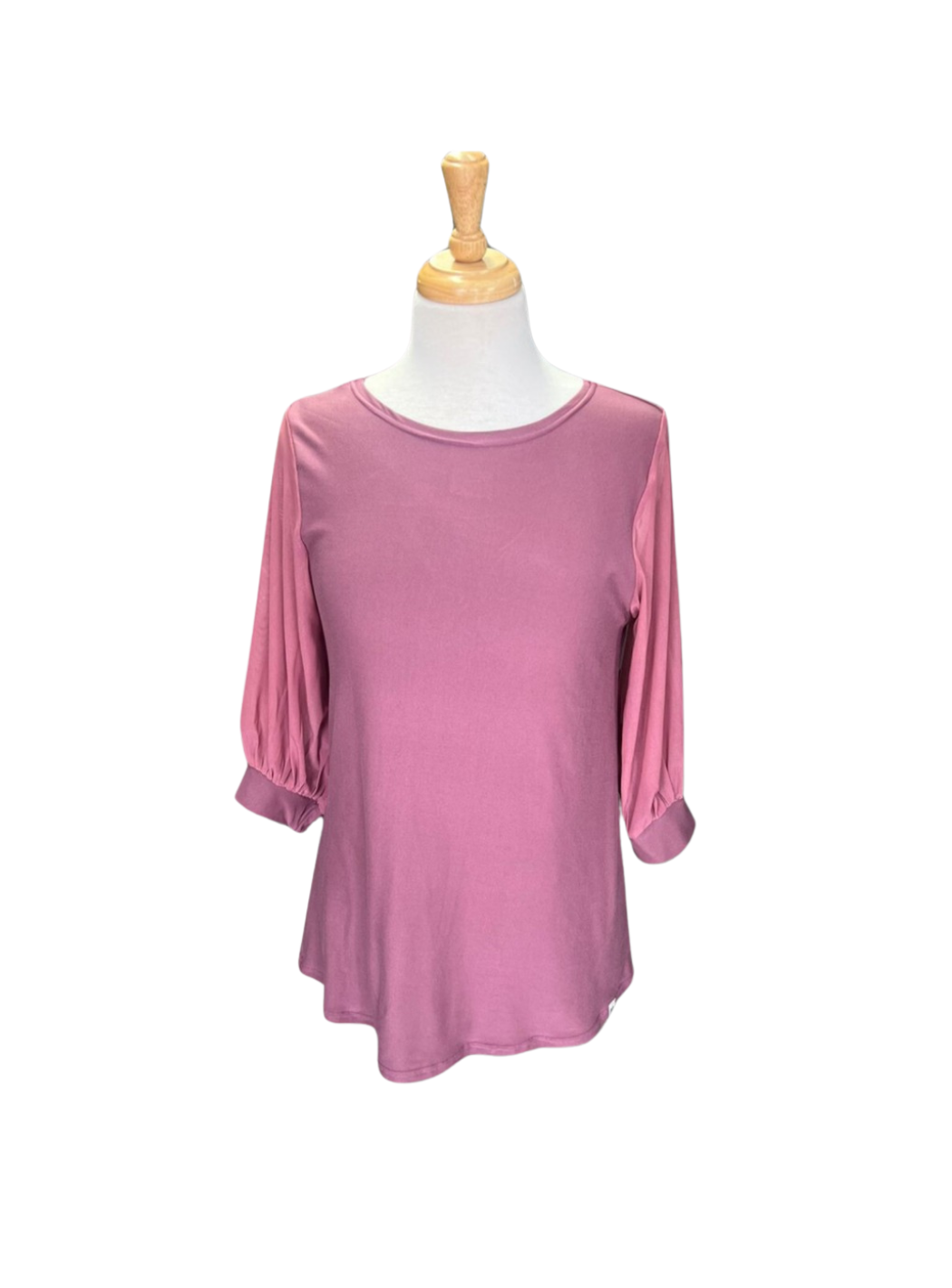 Susan Top Mesh Sleeves